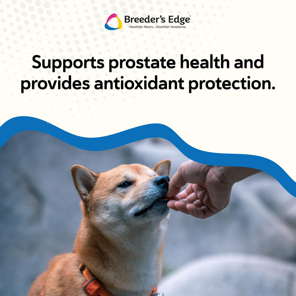 Breeders Edge en Between: magnesio y potasio para nervios y músculos.