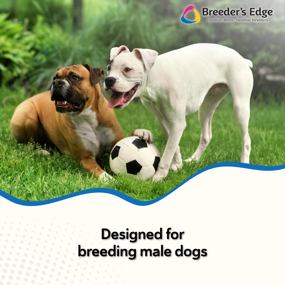 Breeders Edge en Between: protección de próstata y antioxidante.