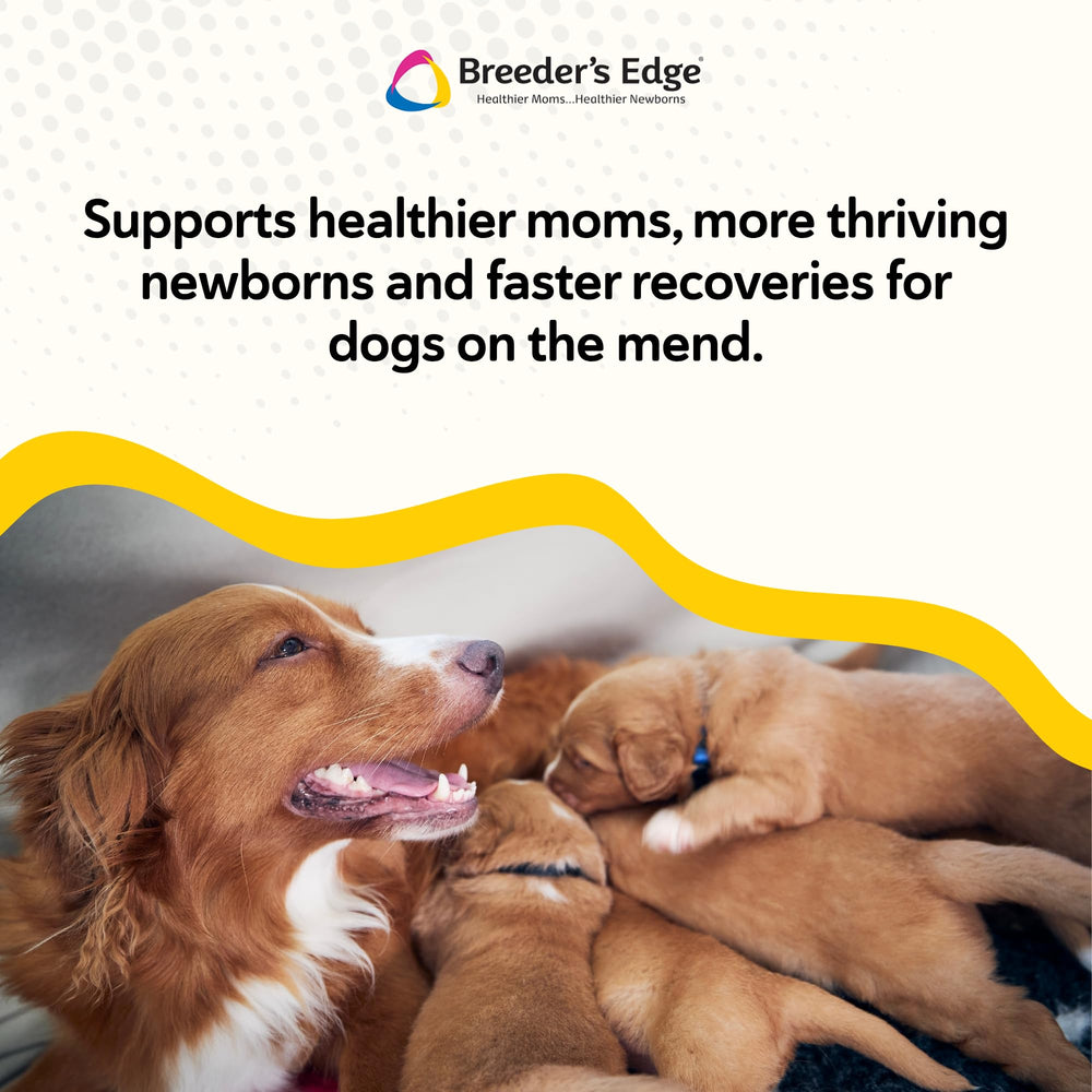 Breeder's Edge Foster Care Bio-Mos para digestión saludable en cachorros.