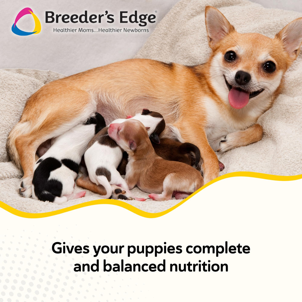 Breeder's Edge Foster Care apto para embarazadas, lactantes o en recuperación.