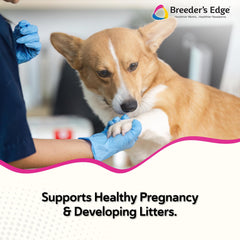 Breeder’s Edge Revival: ingredientes naturales para apoyar el equilibrio reproductivo.