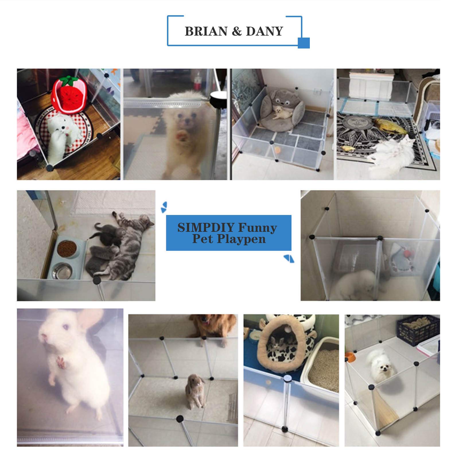 BRIAN & DANY: diseño que facilita la supervisión diaria de tu mascota.