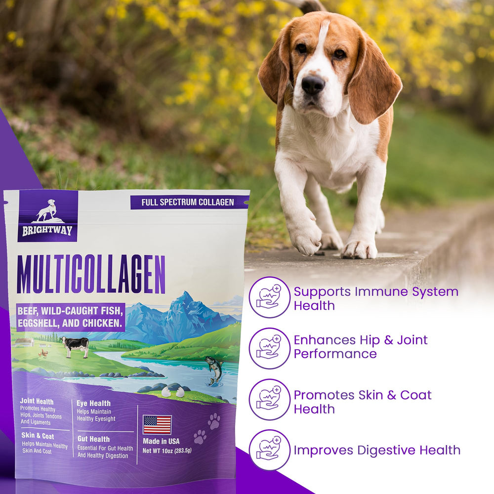 Brightway Pets certificaciones NSF y cGMP para confianza del consumidor.