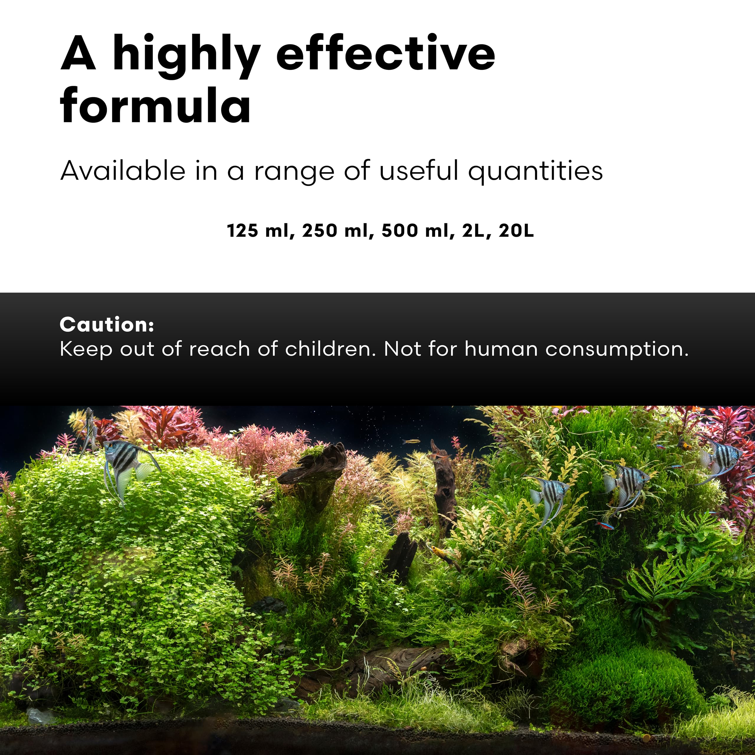 Brightwell Aquatics BlackWater nutre hierro y trazas para plantas