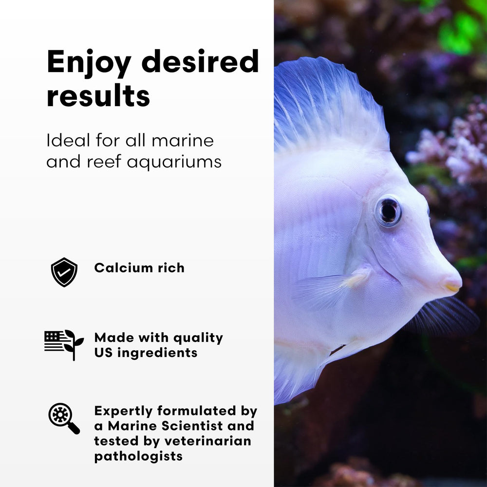 Calcio iónico concentrado Brightwell para dosis precisas en arrecifes