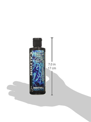 Calcion Brightwell producto americano de alta pureza