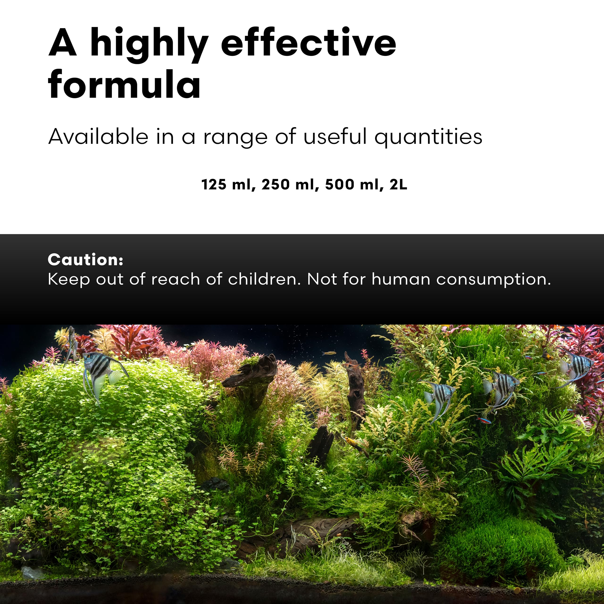 Acuario con plantas saludables y Brightwell Caridina GH+ en estado claro.