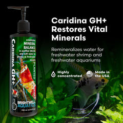 Etiqueta frontal de Brightwell Aquatics Caridina GH+ con foco en minerales.