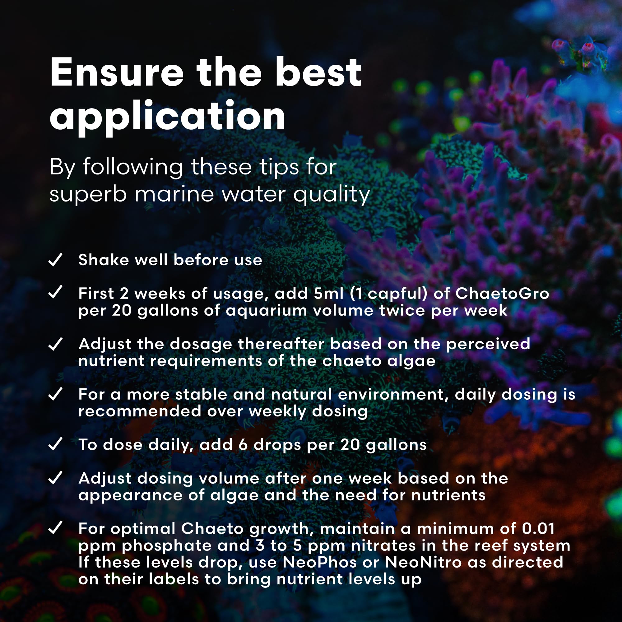 Aplicación de ChaetoGro en acuario marino para apoyar algas Chaeto