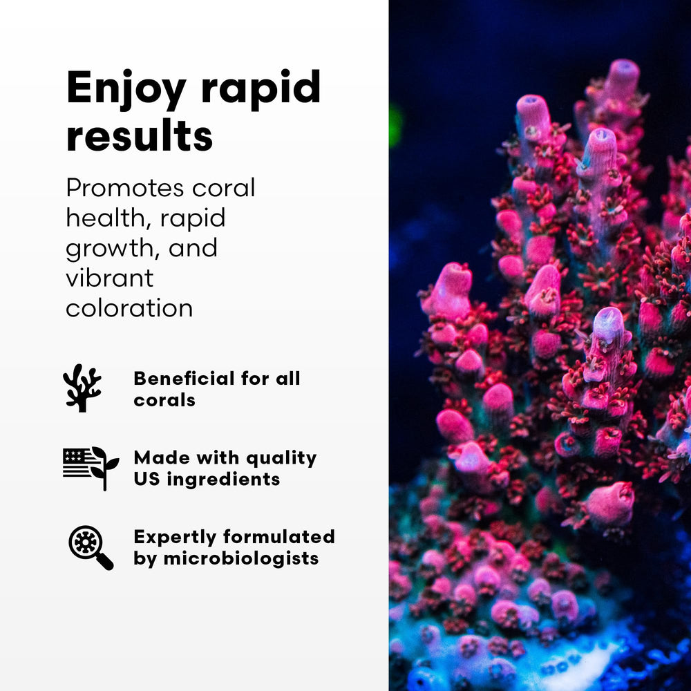 Aplicación de Coral Inertia NRG+ para dosificación precisa en acuario de corales.