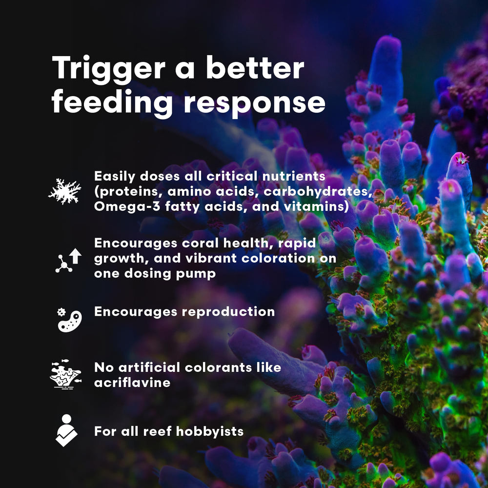 Nutrientes esenciales de Coral Inertia NRG+ para crecimiento y coloración de corales.