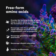 Dispersión en agua con CoralAmino favorece el desarrollo del tejido coral.
