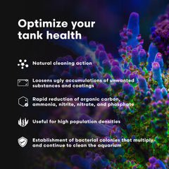 Brightwell Aquatics MicroBacter Clean, alta claridad del agua, reducción rápida de nutrientes
