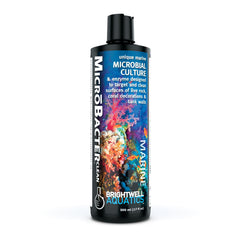 Brightwell Aquatics MicroBacter Clean en botella, limpiador para superficies del acuario.