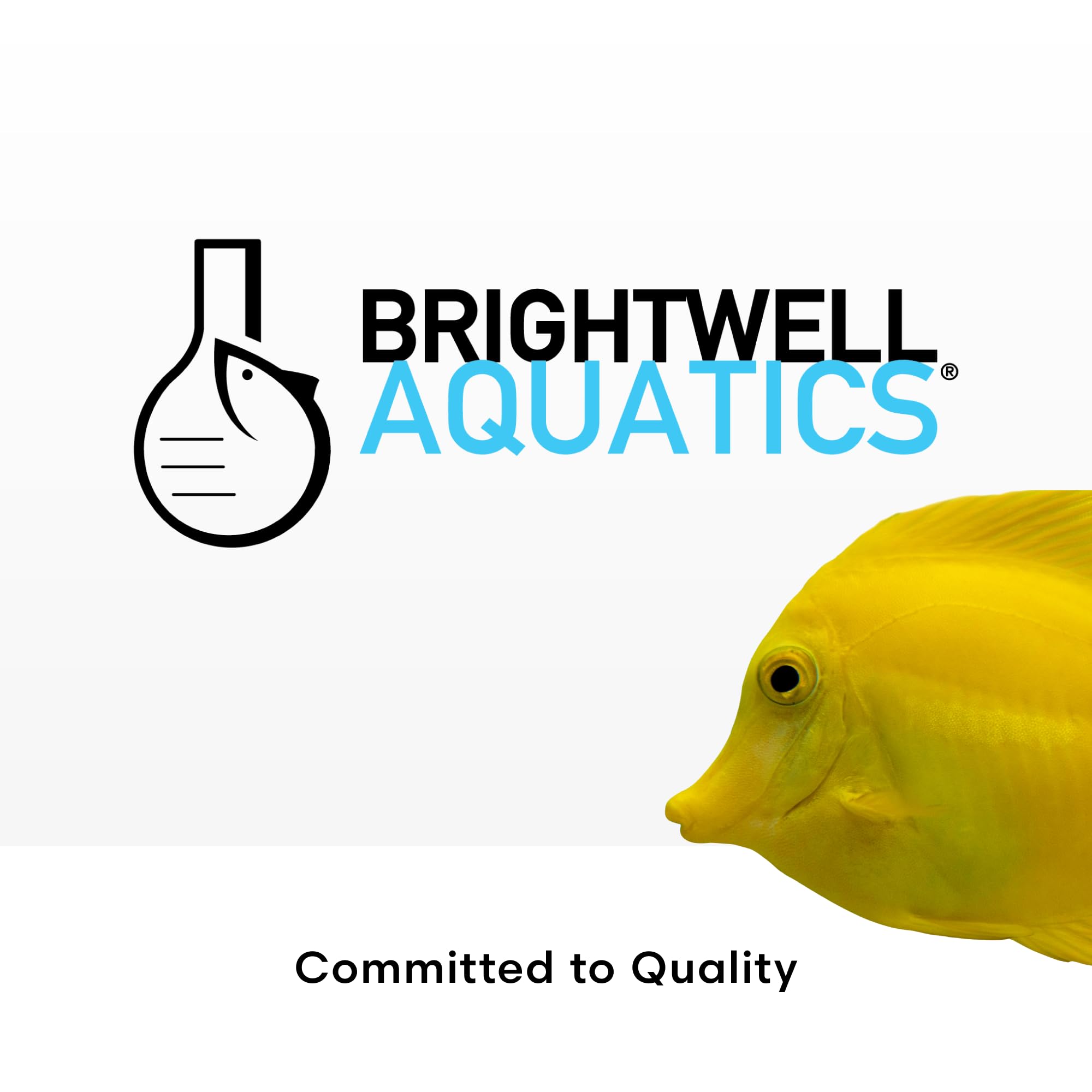 Brightwell Aquatics MicroBacter Start XLF American-made packaging