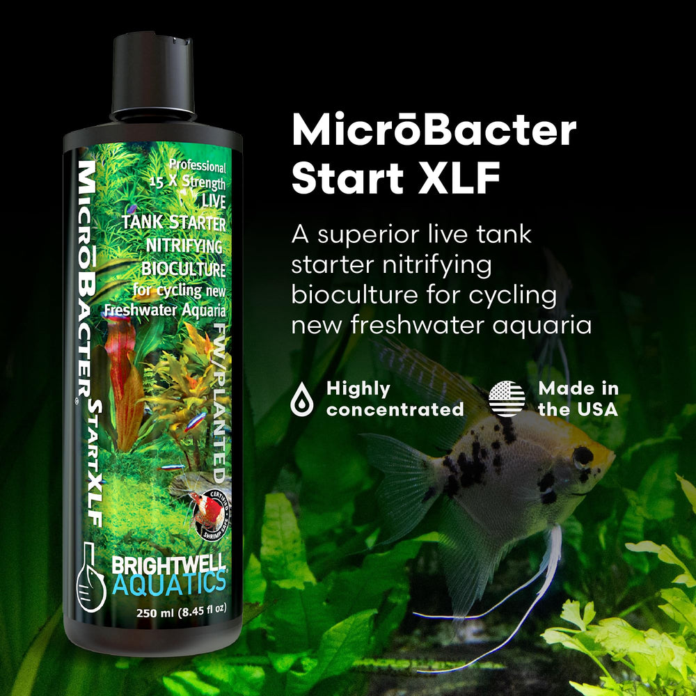 Brightwell Aquatics MicroBacter Start XLF, inicio del ciclado rápido en acuario nuevo