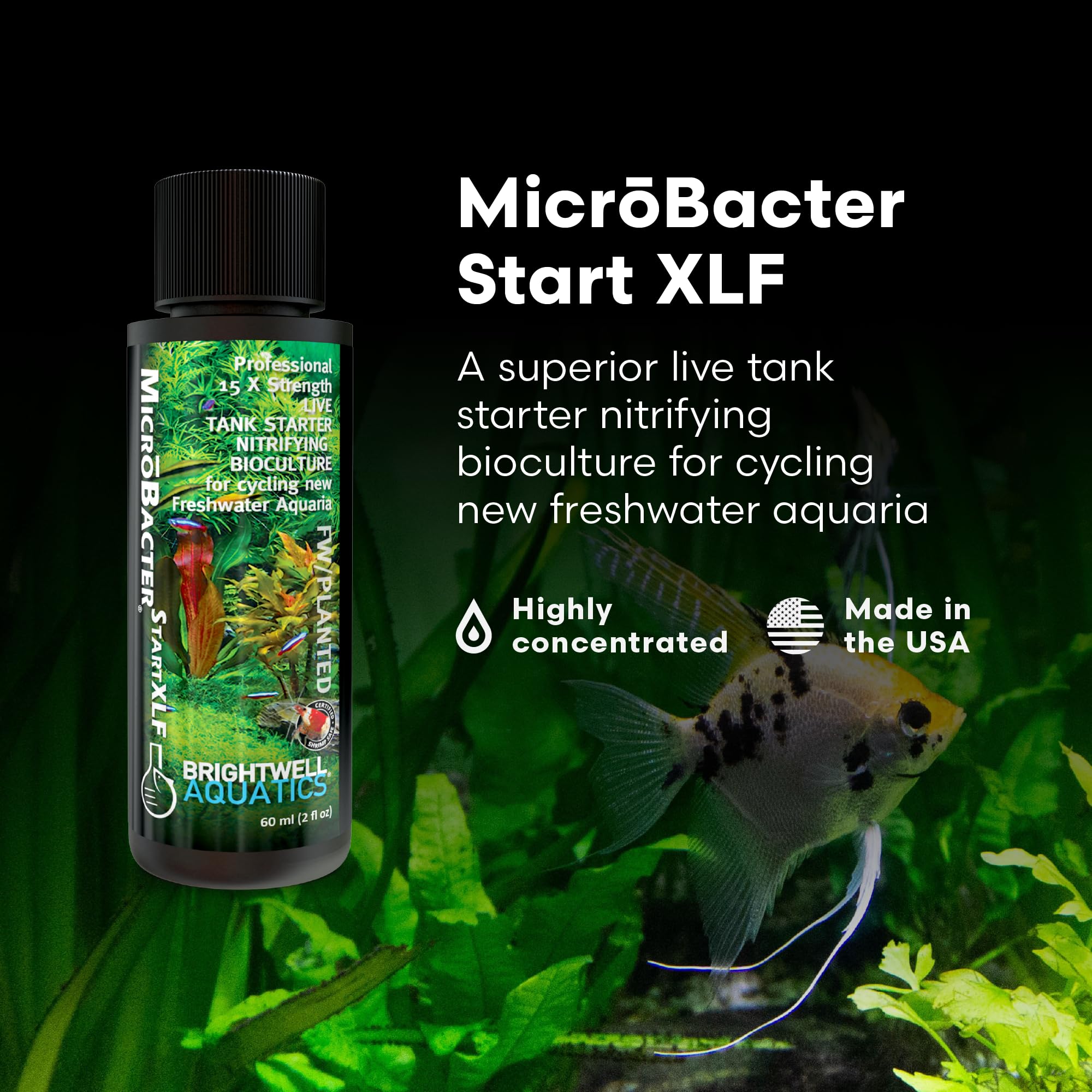 Brightwell Aquatics MicroBacter Start XLF label closeup showing concentrated formula