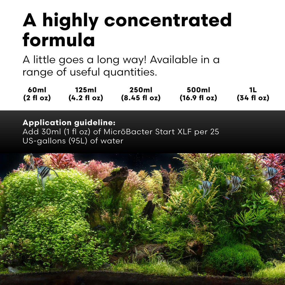 Brightwell Aquatics MicroBacter Start XLF near filter media illustrating rapid 5 7 day cycling