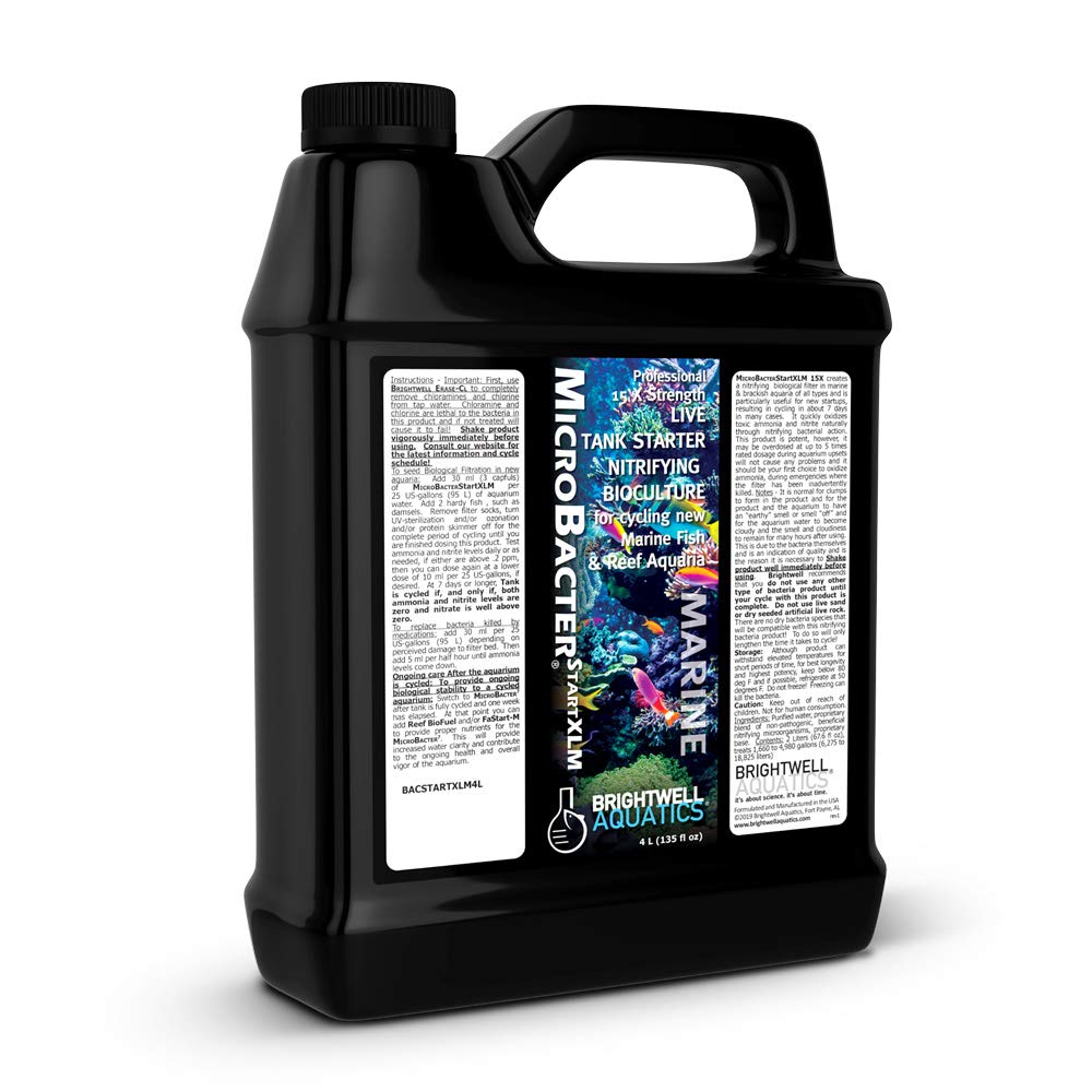 Brightwell Aquatics MicroBacter Start XLM, bote-concentrado, acelera el inicio de la filtración biológica.