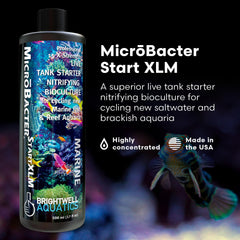 Brightwell Aquatics MicroBacter Start XLM, bote visto de frente para referencia de uso.