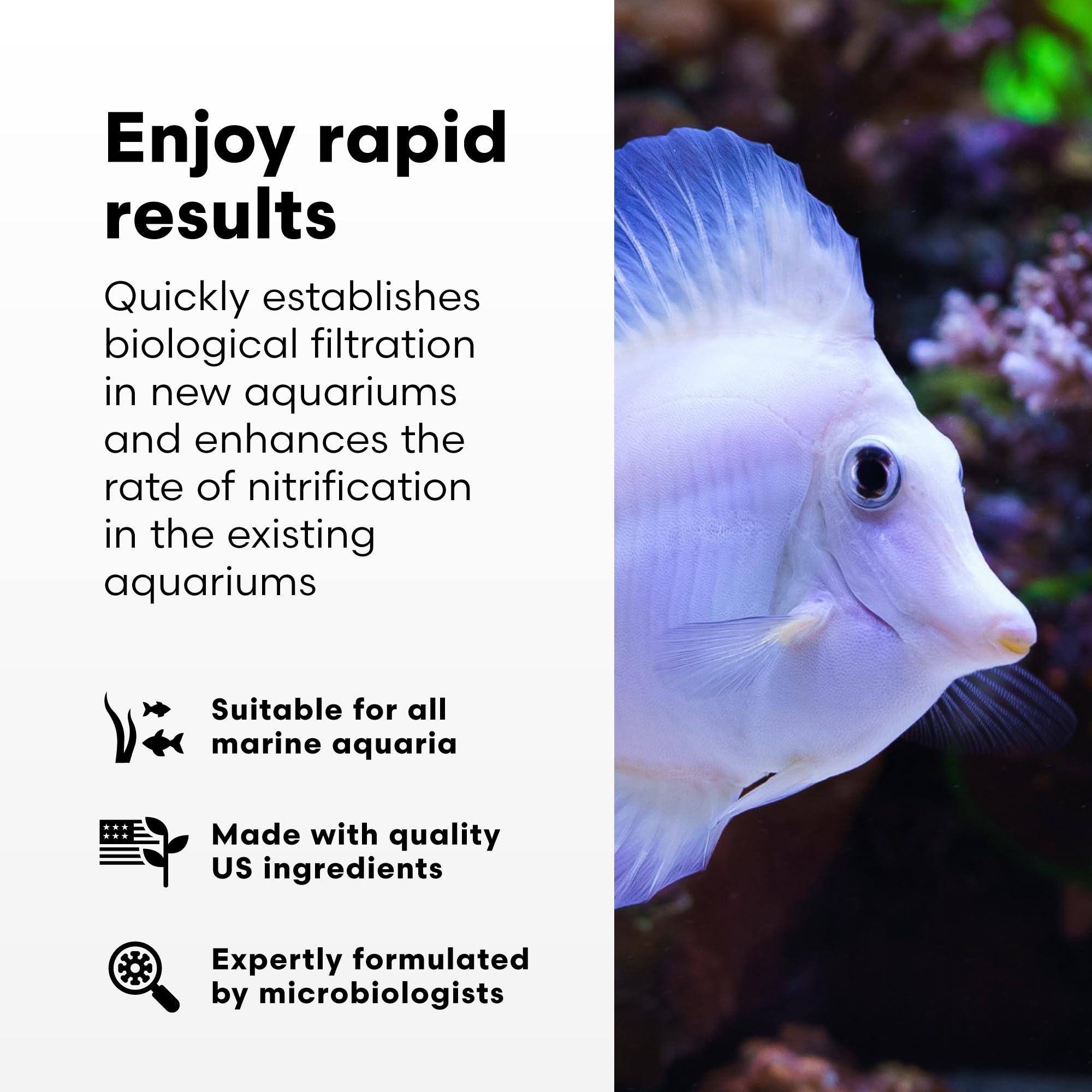Brightwell Aquatics MicroBacter Start XLM, uso-tanque-nuevo, facilita el ciclado en acuarios nuevos.