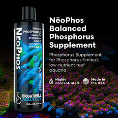 NeoPhos y su actividad microbiana para reciclar nutrientes en el acuario.