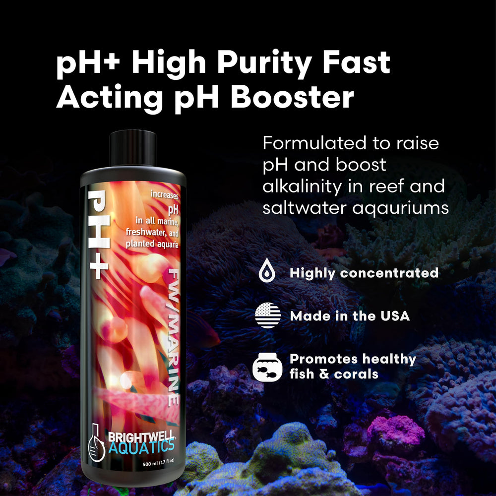 Brightwell Aquatics pH+ aumento-alcalinidad-125ml mejora la estabilidad química del acuario.