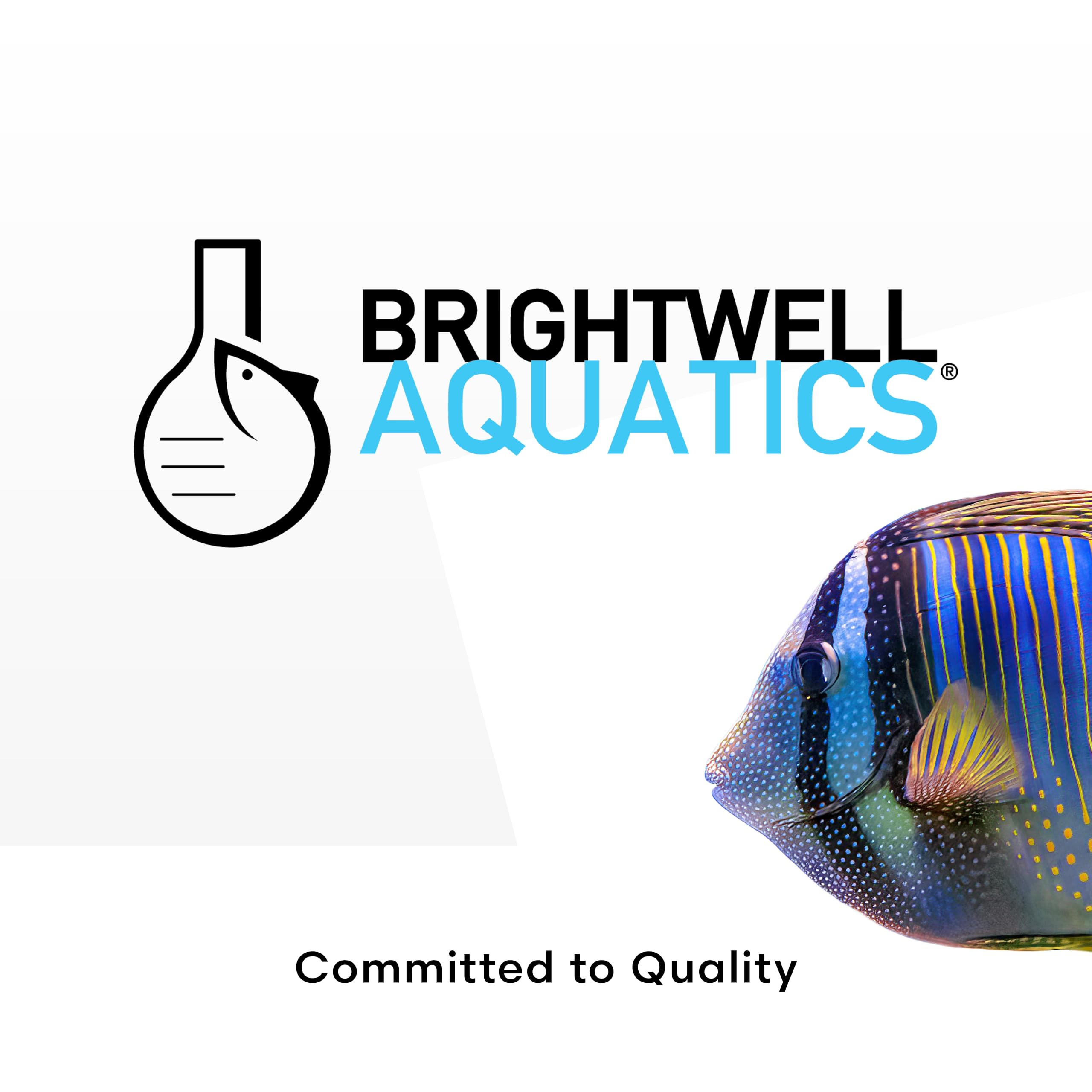 Brightwell Aquatics pH+ disolucion-limpia-125ml se incorpora fácilmente para acción rápida.