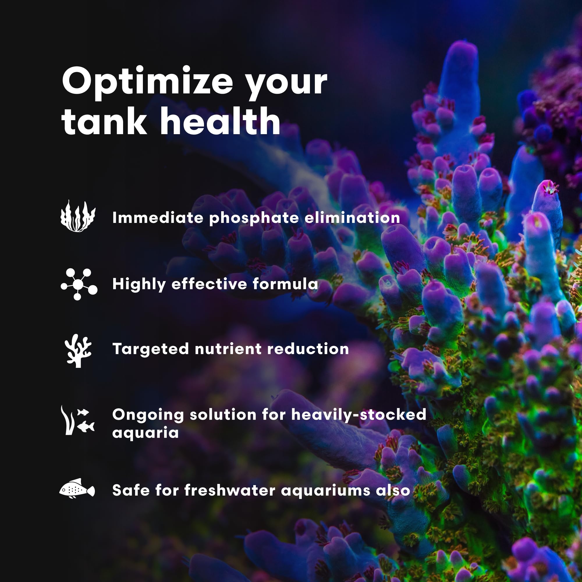 Phosphat-E Brightwell, reducción de fosfato para estabilidad del agua