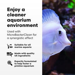 Brightwell Aquatics Razor Marine limpia decoraciones marinas para un aspecto renovado