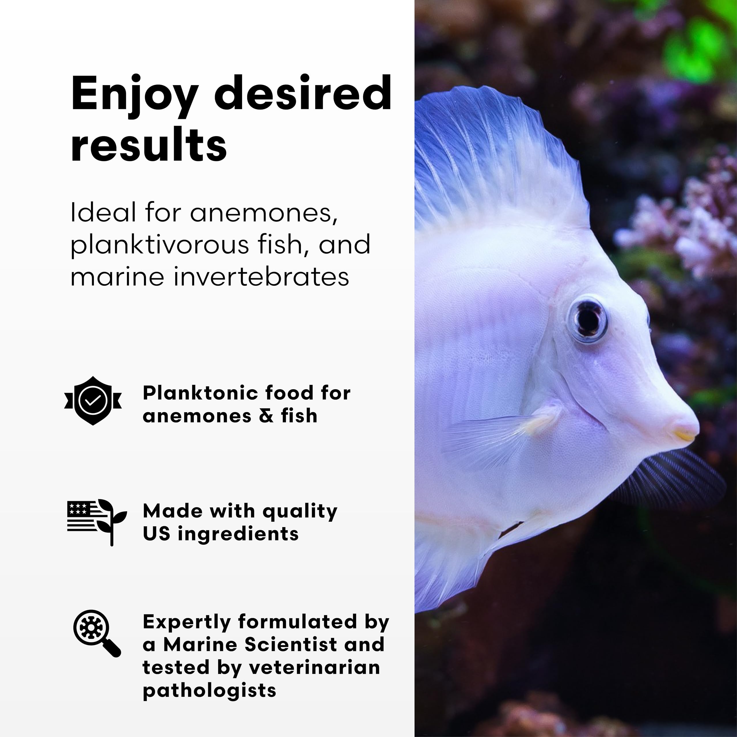 Brightwell Aquatics Reef Blizzard-A, alimento para invertebrados marinos, favorece color y crecimiento.