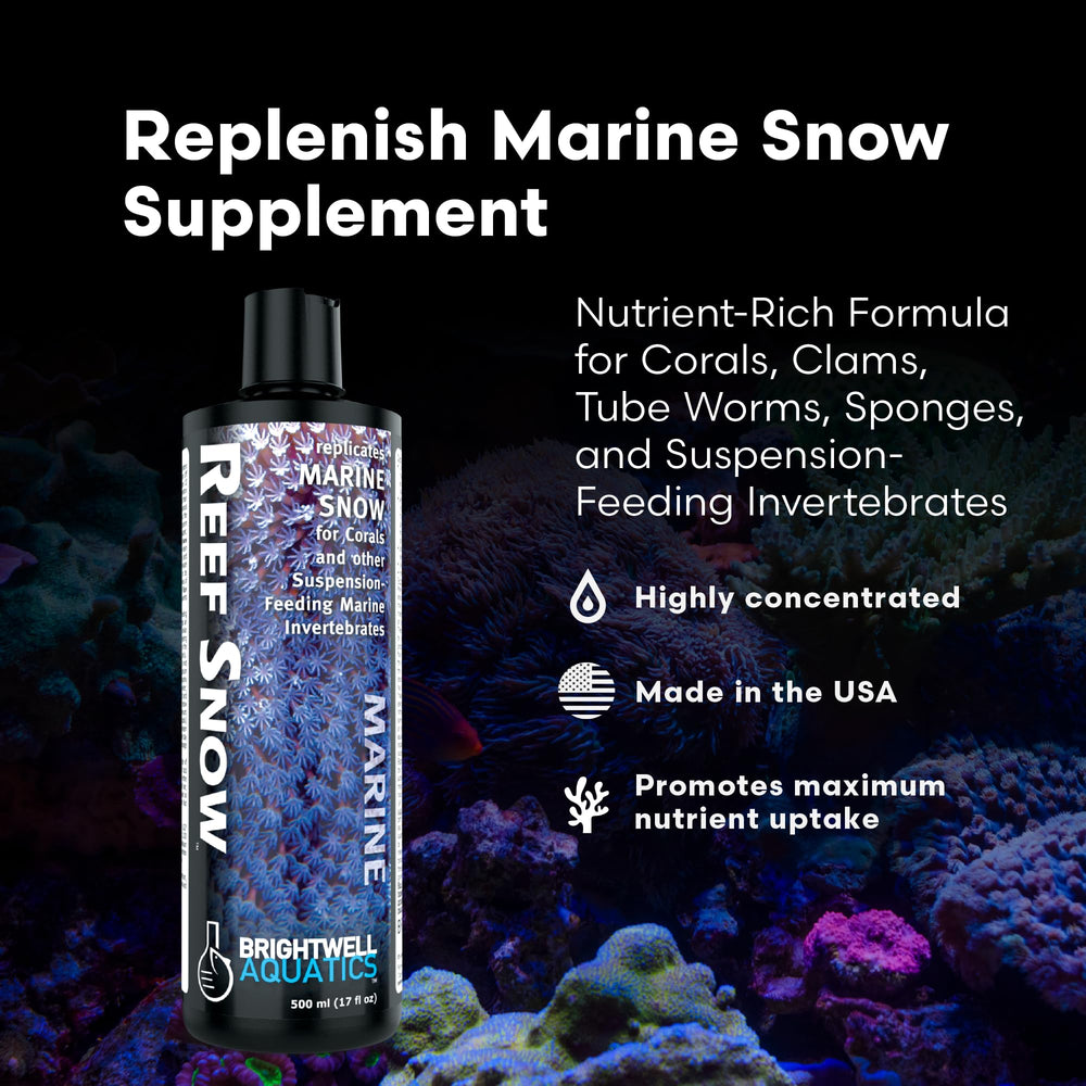 Brightwell Aquatics Reef Snow, aplicación nocturna para mayor absorción de nutrientes