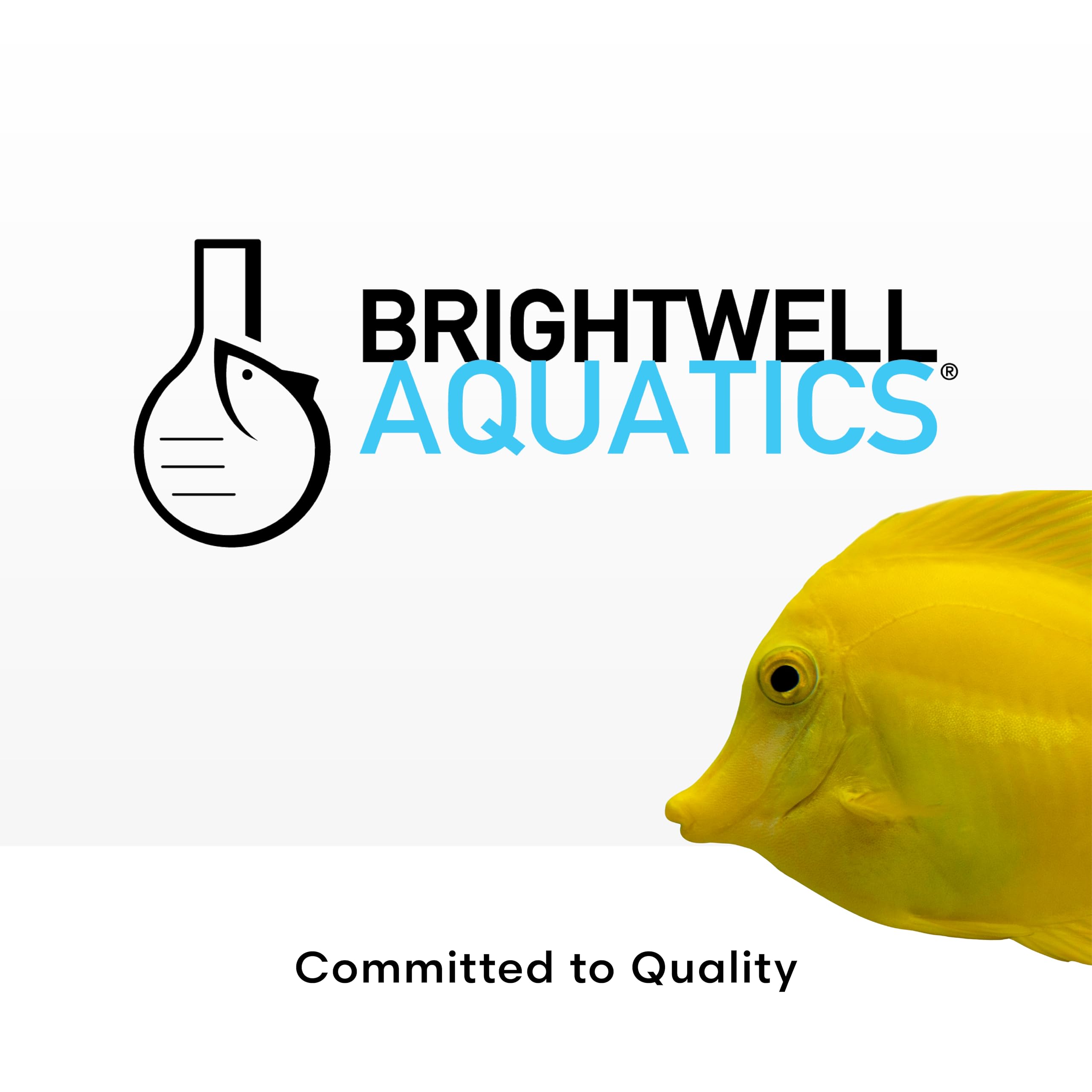 Brightwell Remineraliz: ayuda a mantener estabilidad de pH ante cambios suaves.