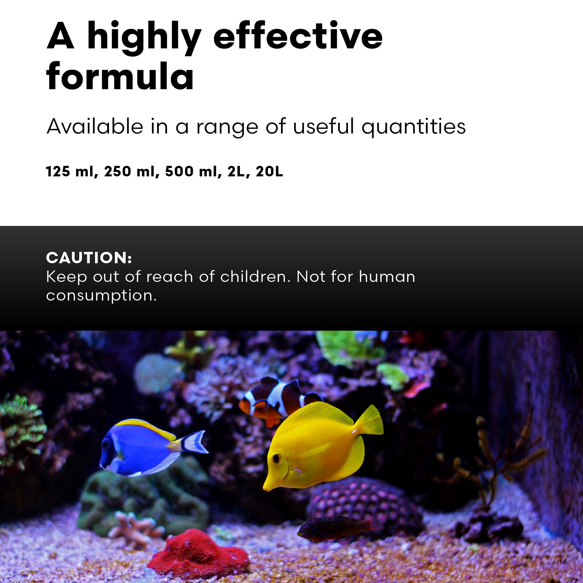 Brightwell Aquatics Rēplenish, coloracion-vibrante: mejora colores en peces y corales