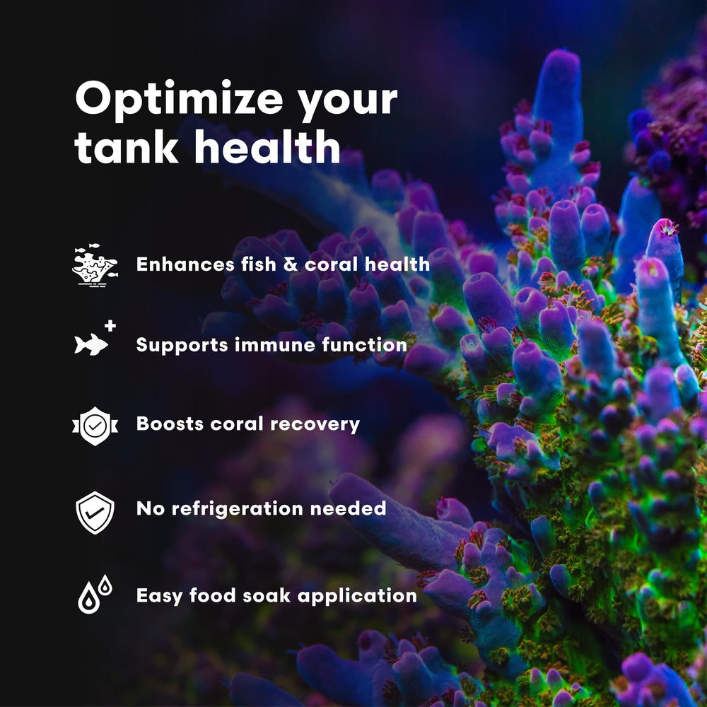 Vitamarin-M, remojo en alimento para absorción óptima por peces y corales