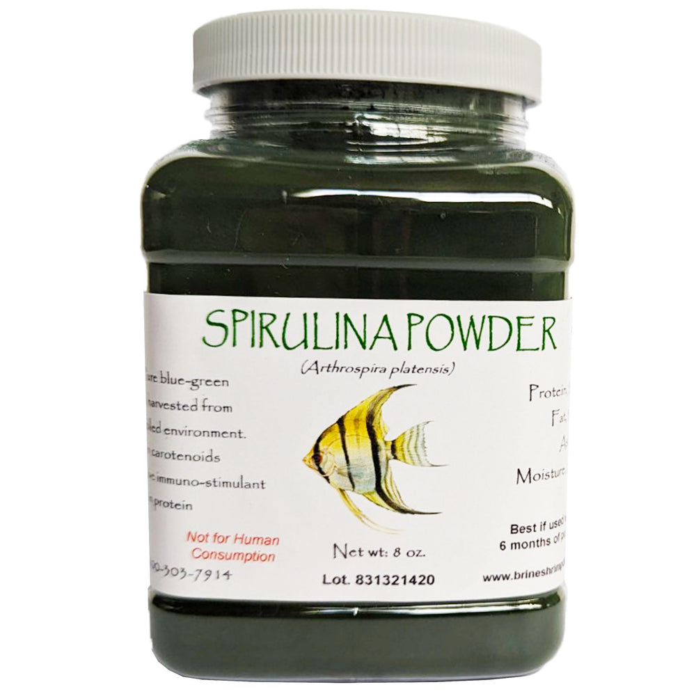 Brine Shrimp Direct polvo de espirulina en envase de 8 oz para color y crecimiento.