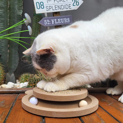 Britepaws pista bolas rodantes para perseguir y ejercitar al gato