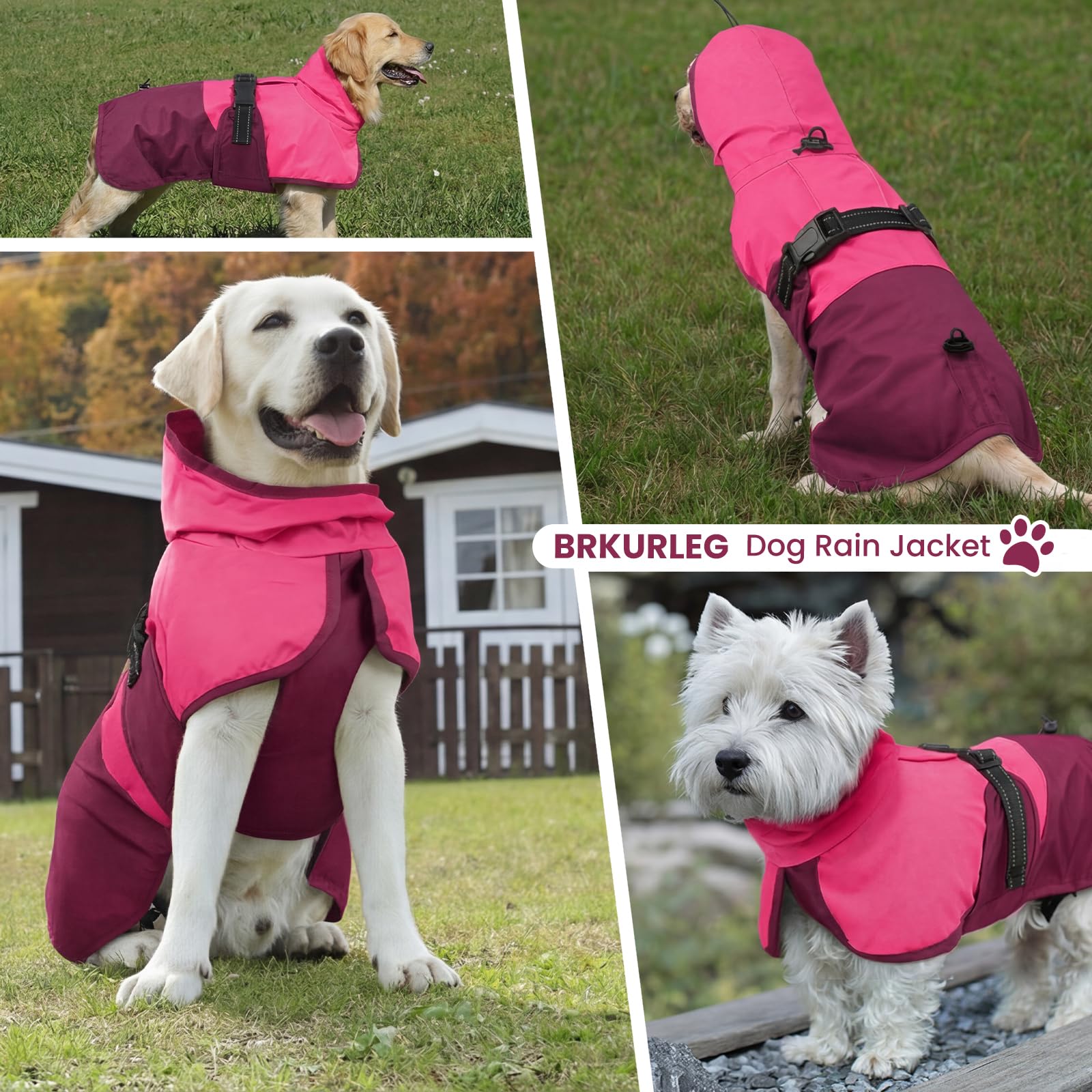 BRKURLEG chaqueta rosa para perros, talla XL