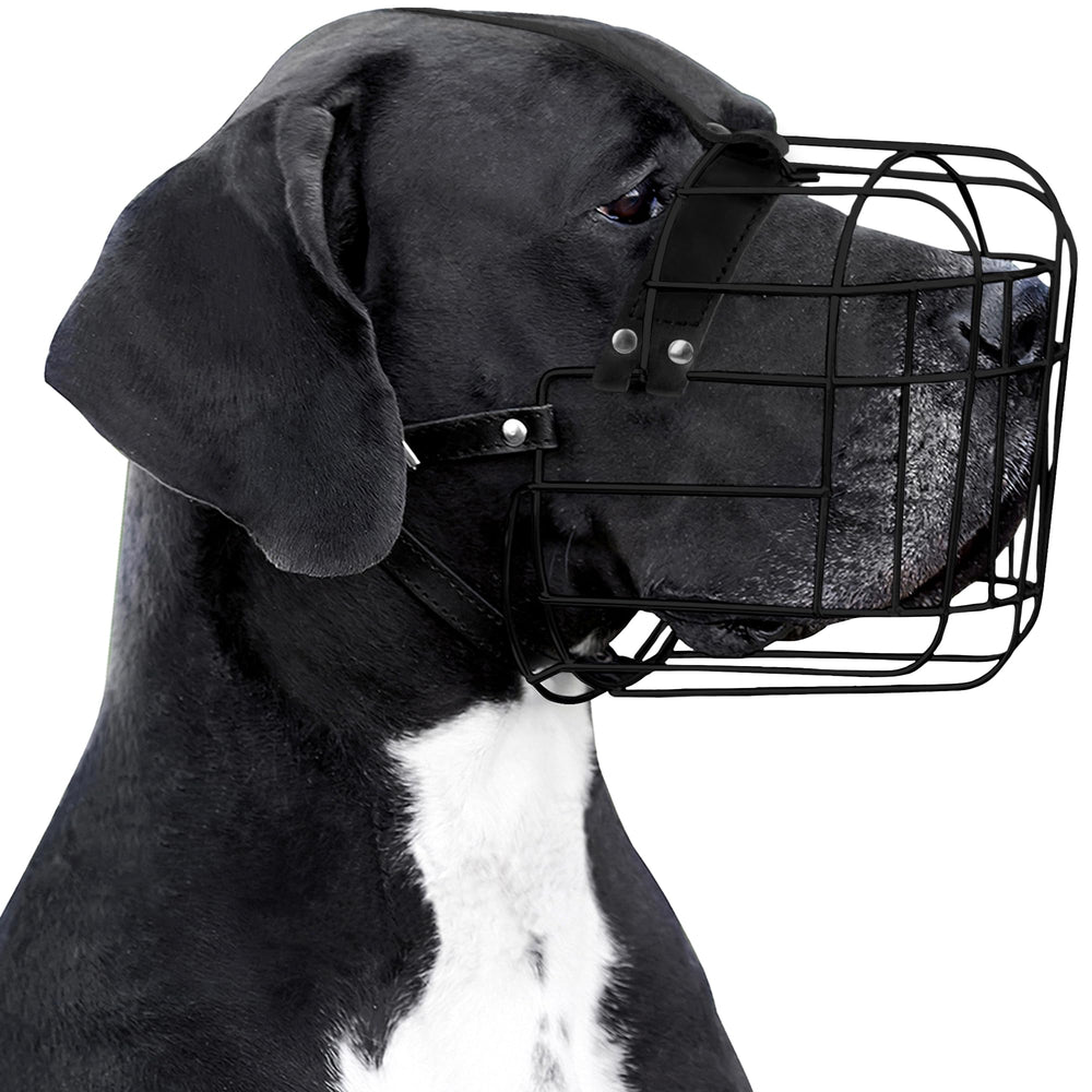 BRONZEDOG bozal para perro grande con cuero y PVC, ajuste seguro para paseos