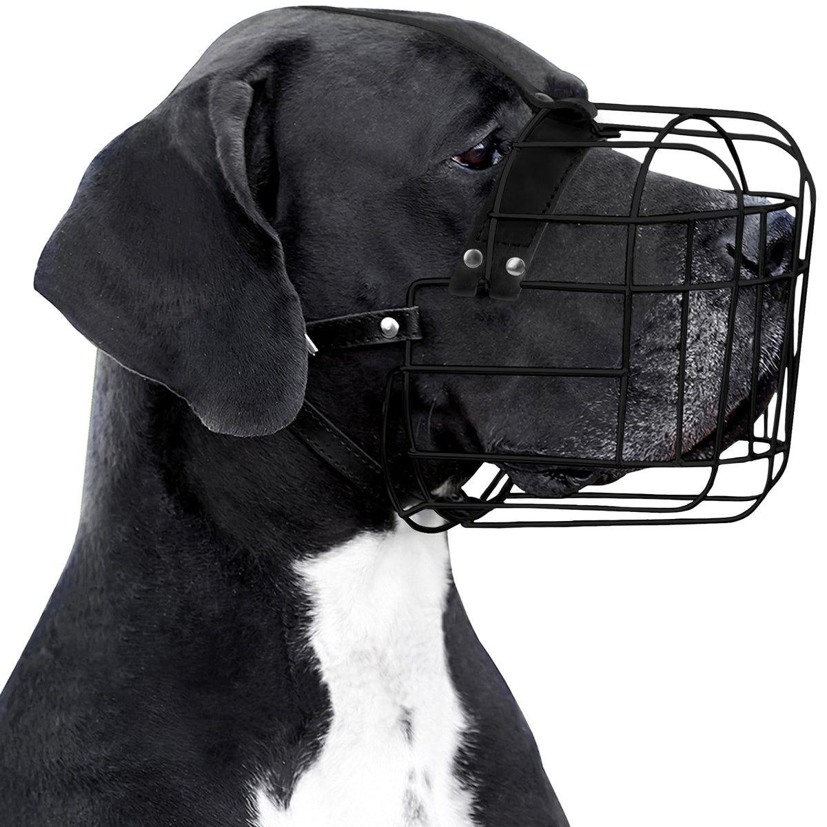 BRONZEDOG bozal para perro grande con cuero y PVC, ajuste seguro para paseos