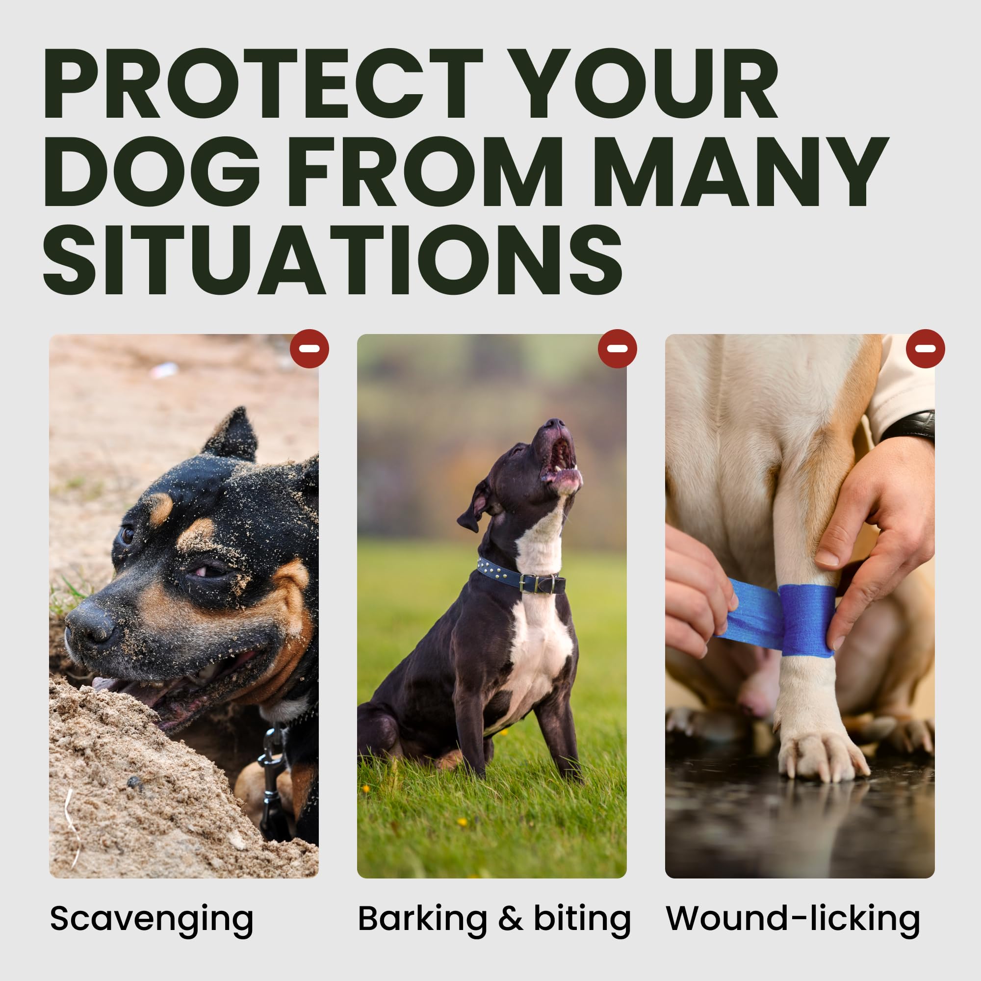 Paseos tranquilos y seguros con BRONZEDOG bozal grande