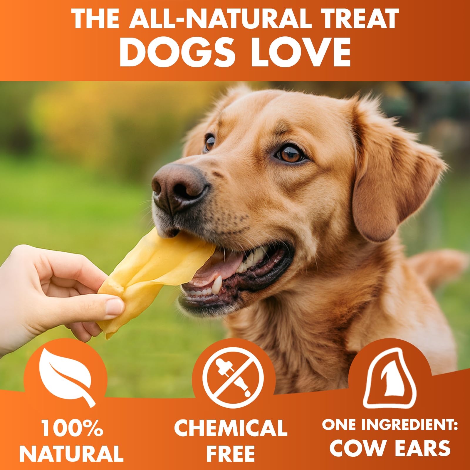 BRUTUS & BARNABY carne Angus pastura, snack natural para perros