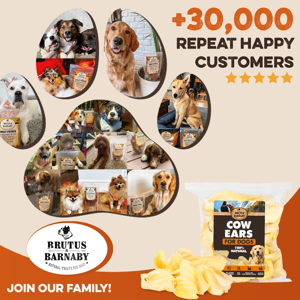 BRUTUS & BARNABY orejas de vaca para perros: snack masticable para juego y entrenamiento