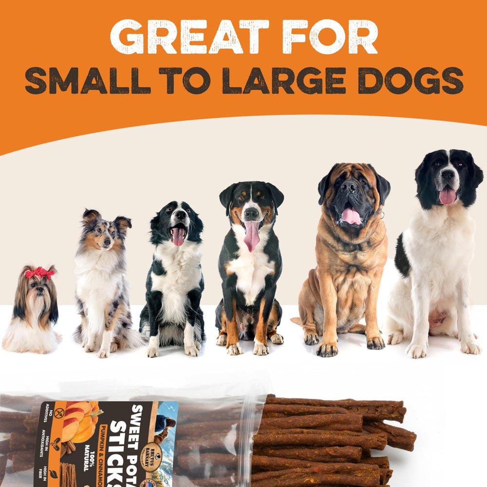 Fibra de calabaza en BRUTUS & BARNABY, snack con fibra natural para perros