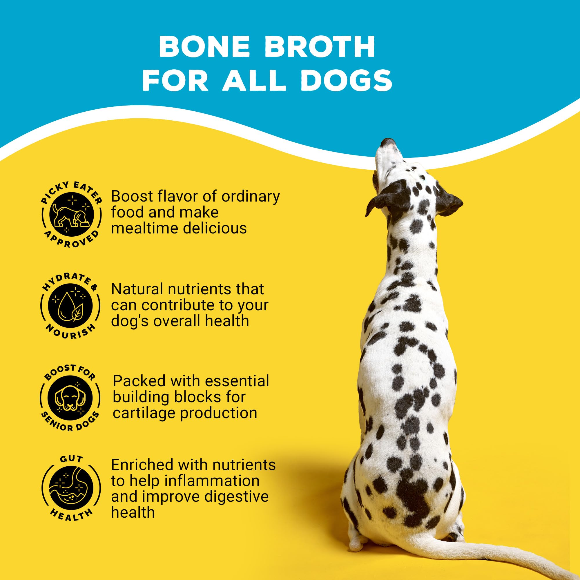Brutus Bone Broth mezcla con comida seca para mejorar palatabilidad e hidratación.