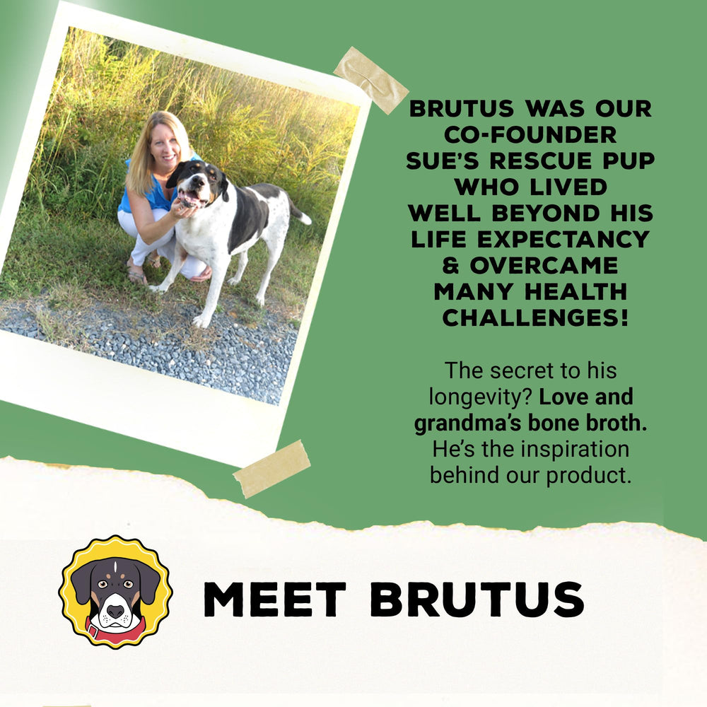 Brutus Broth fórmula nutritiva para digestión y vitalidad del perro