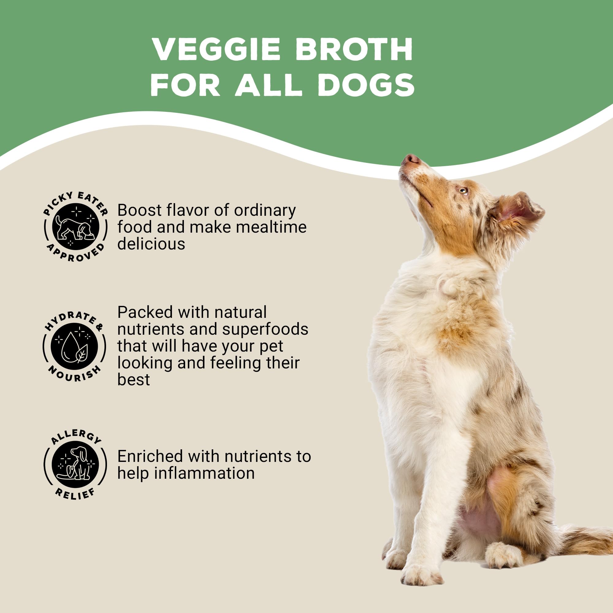 Brutus Broth ingredientes de grado humano, libres de aditivos