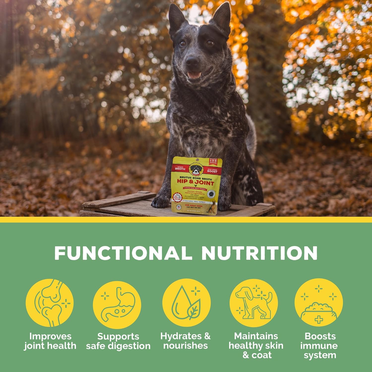 Brutus Broth sabor-pollo-close-up: aroma apetitoso para perros exigentes