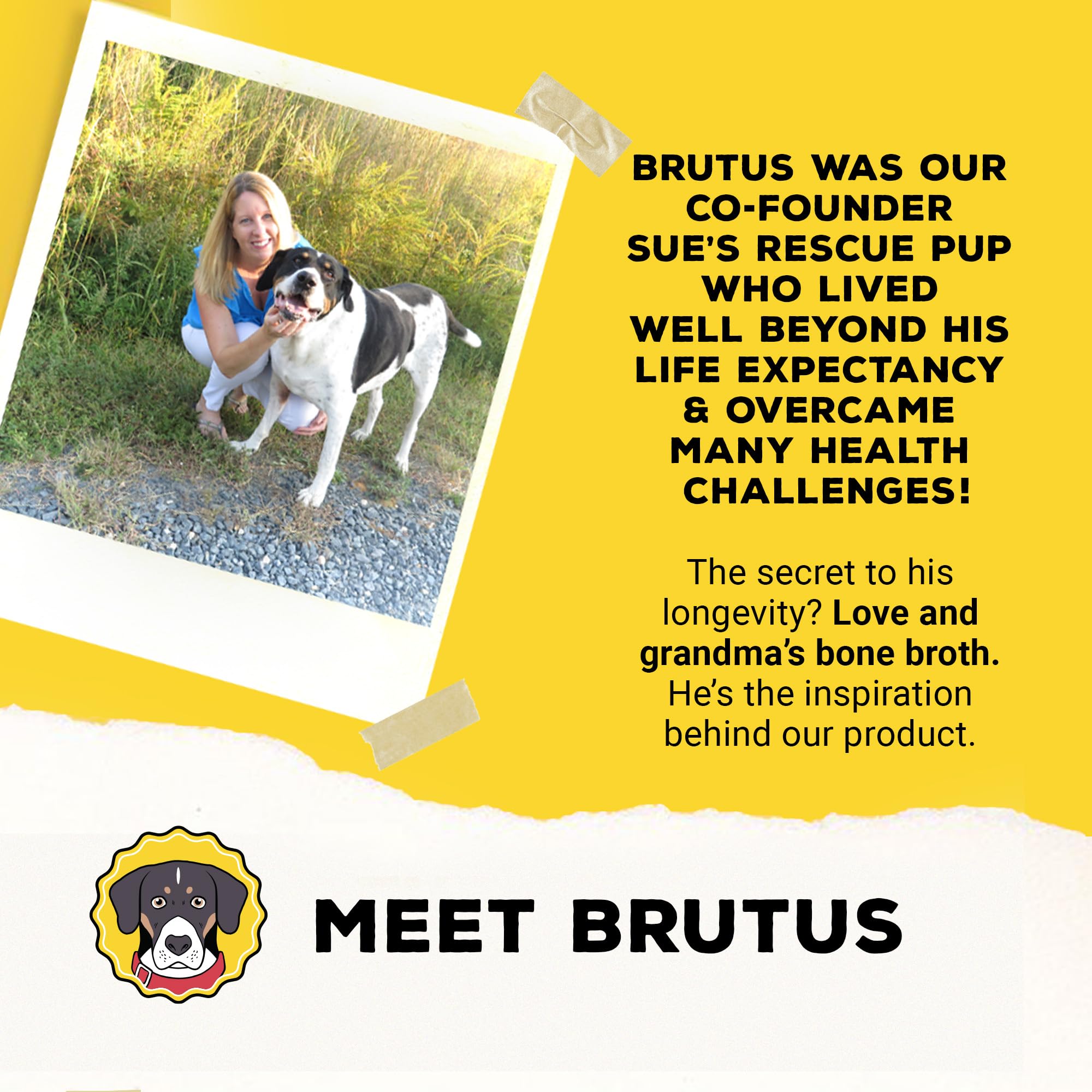 Brutus Broth uso-diario-viaje-perros: perfecto para alimentación en movimiento