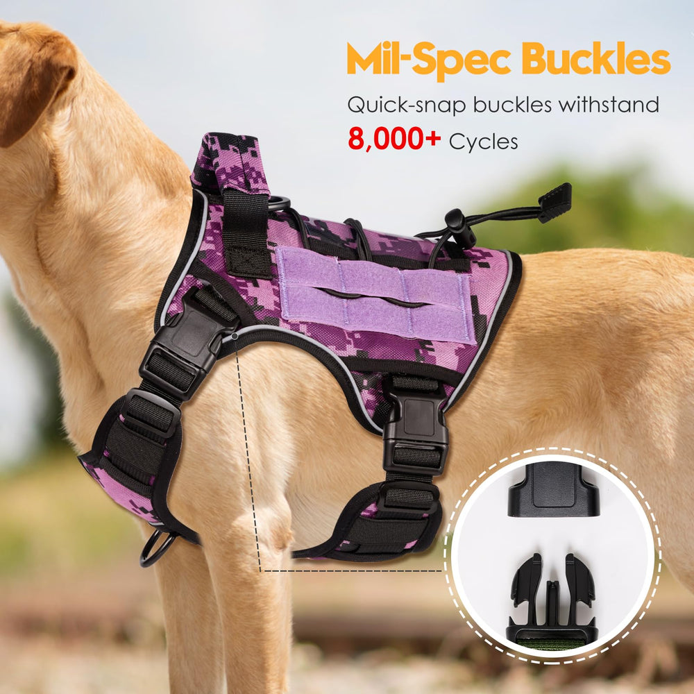 Arnés Bruvoalon con sistema MOLLE para accesorizar durante rutas.